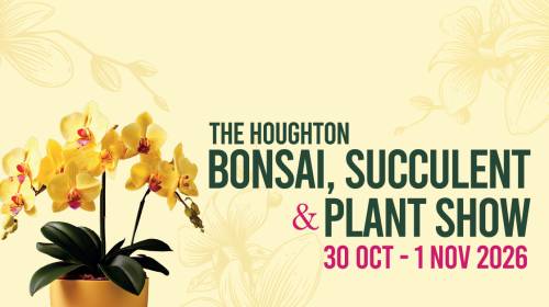The Houghton Bonsai, Succulent And Plant Show