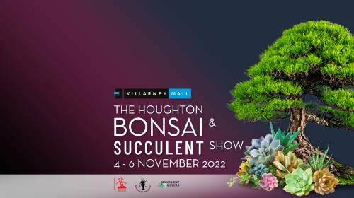 The Houghton Bonsai and Succulent Show 2022