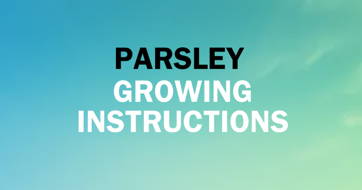 Growing Instructions for Parsley